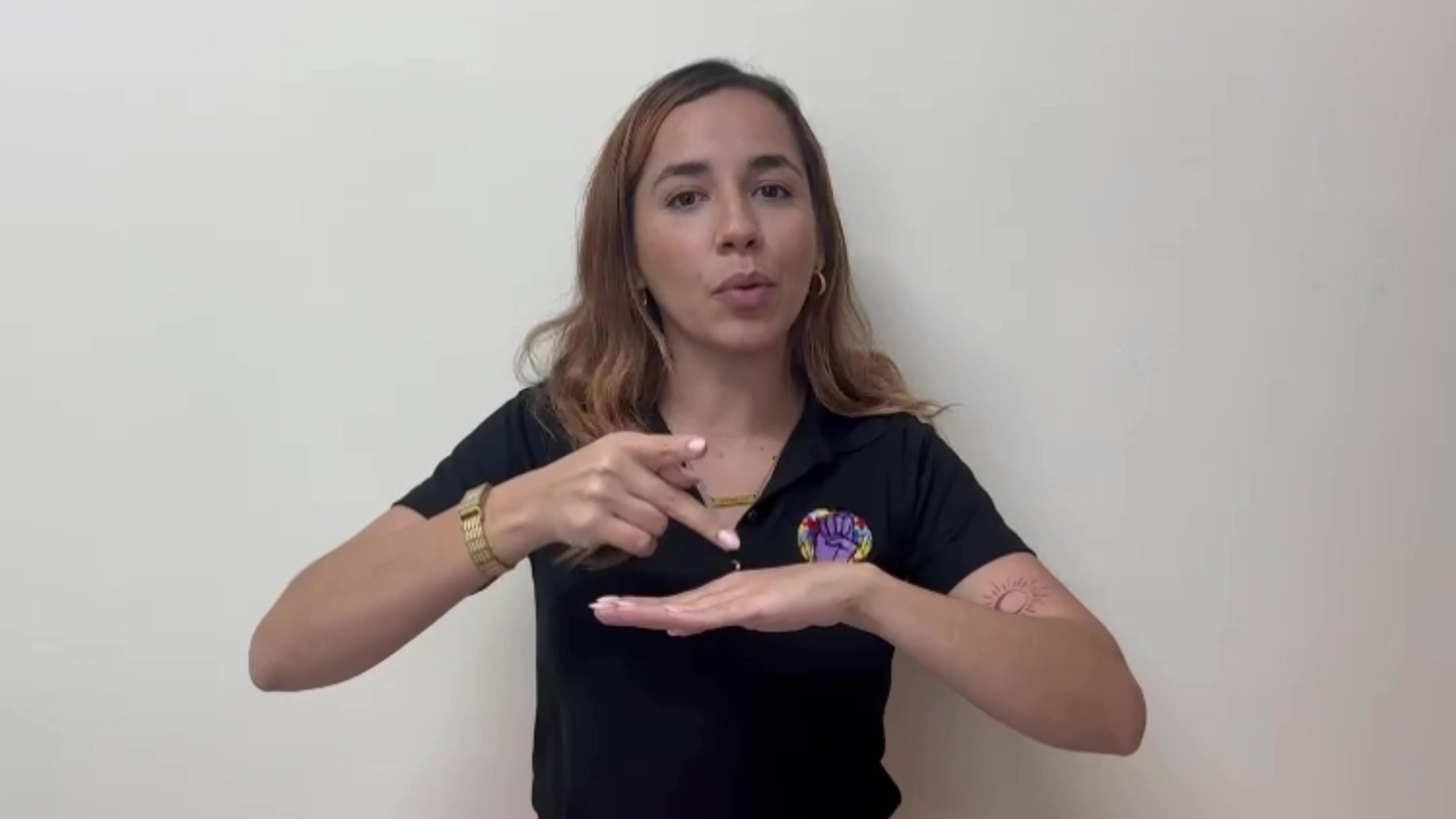 Diccionario Básico LSPR